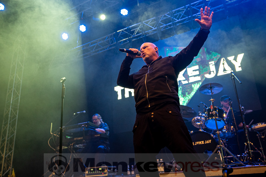 The Joke Jay, © Mirco Wenzel