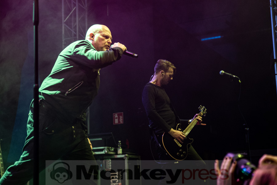 The Joke Jay, © Mirco Wenzel