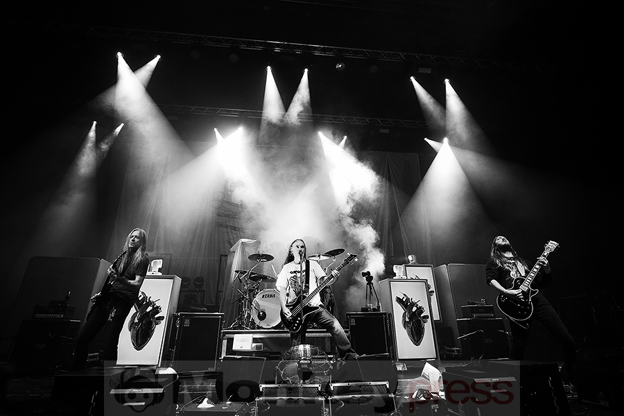 Carcass © Sandro Griesbach
