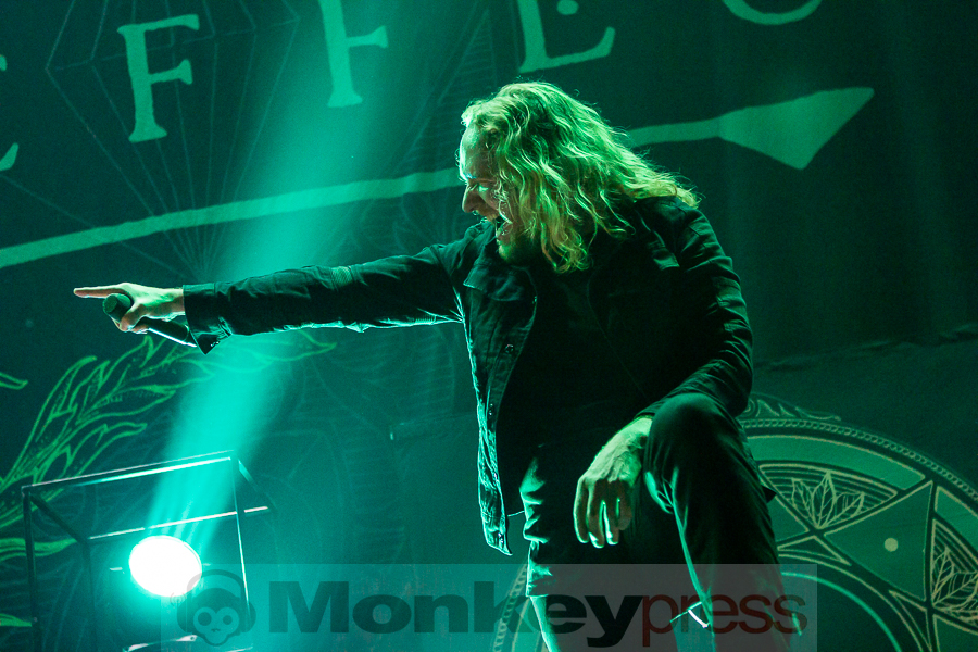 Fotos: THE HALO EFFECT