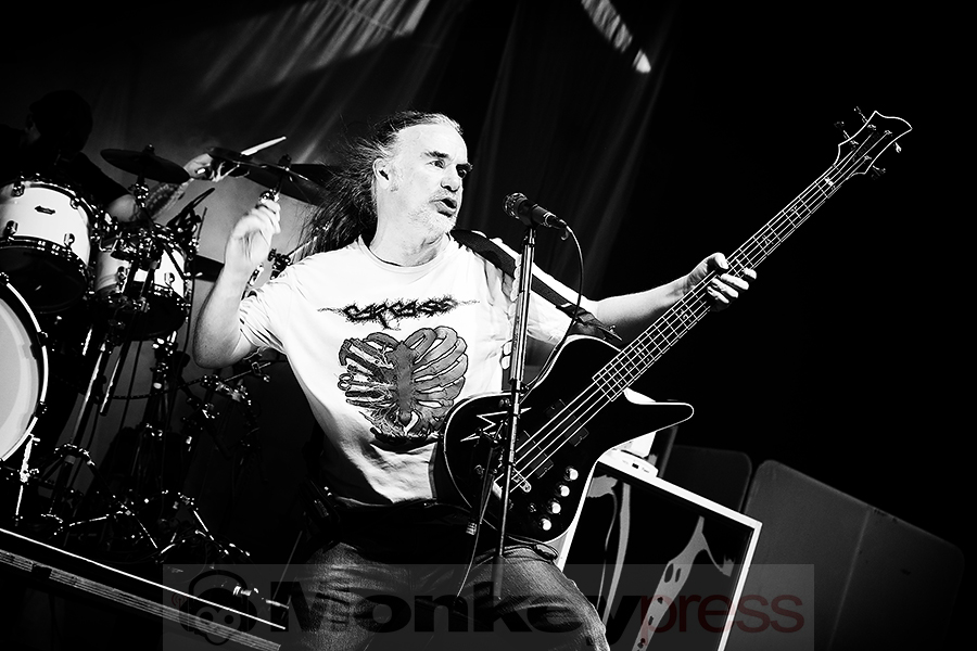 Carcass © Sandro Griesbach