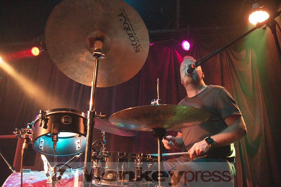 Goldbrasse, © Claudia Helmert