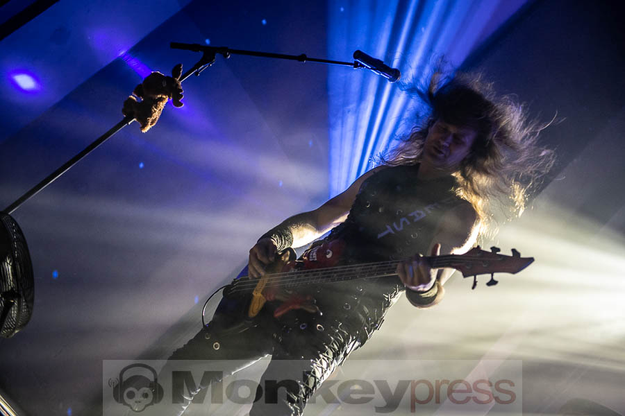 Beast in Black, © Cynthia Theisinger