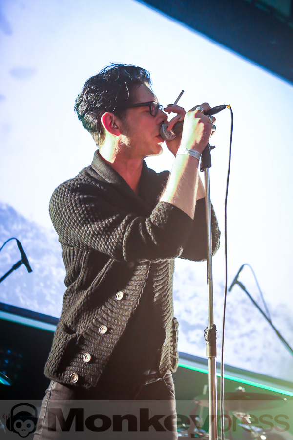 Golden Apes, © Michael Gamon