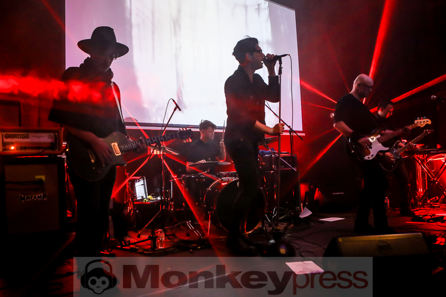 Golden Apes, © Michael Gamon