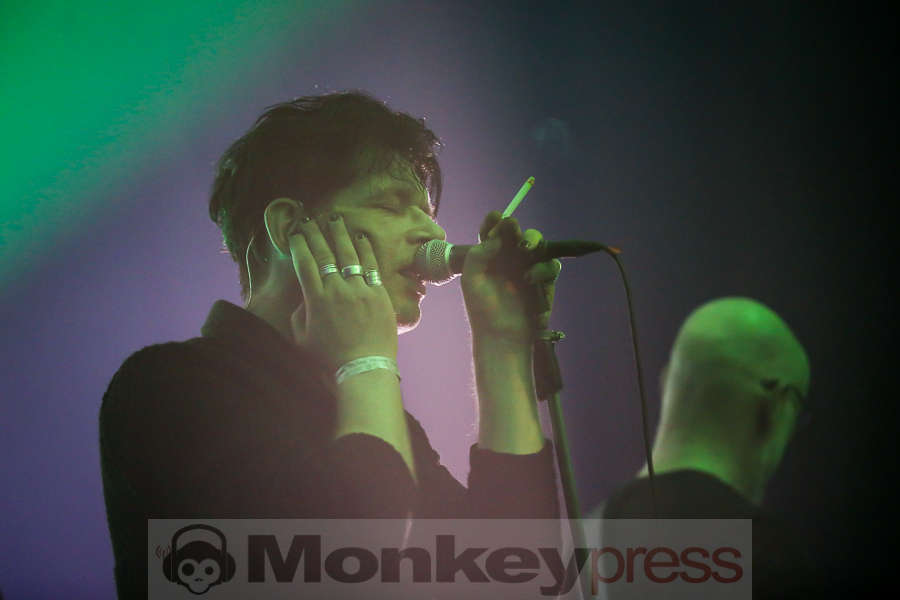 Golden Apes, © Michael Gamon