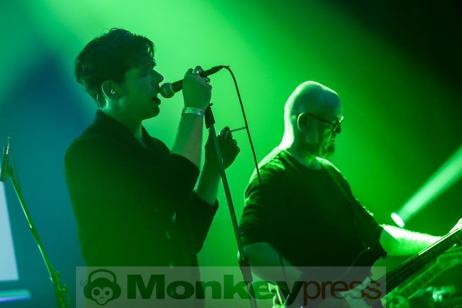 Golden Apes, © Michael Gamon