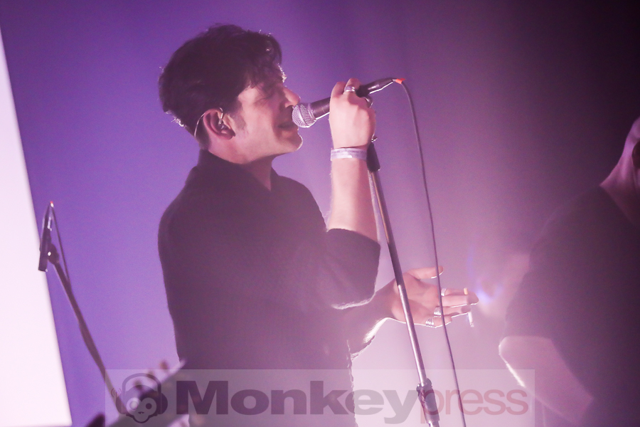 Golden Apes, © Michael Gamon