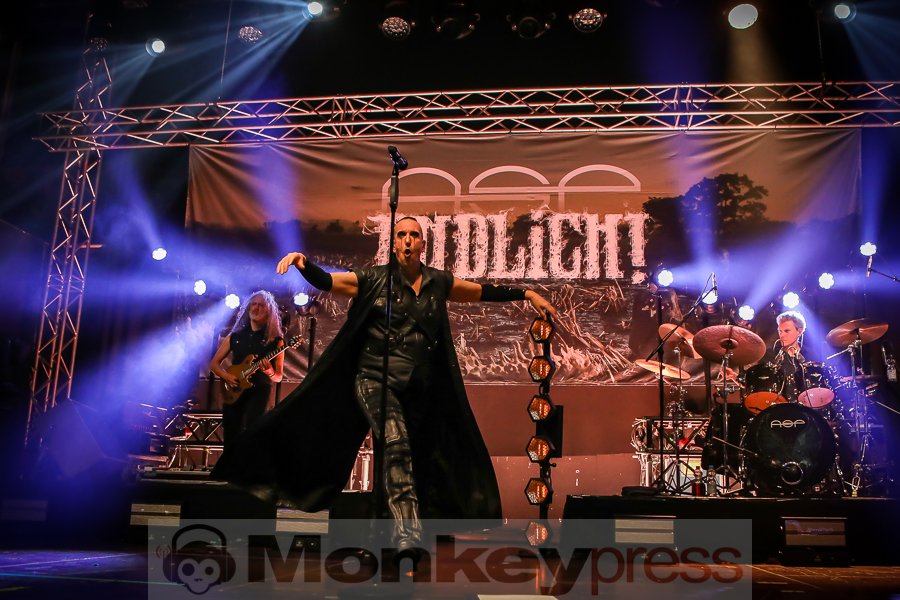 ASP, © Michael Gamon