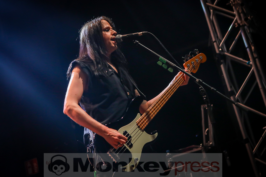 ASP, © Michael Gamon