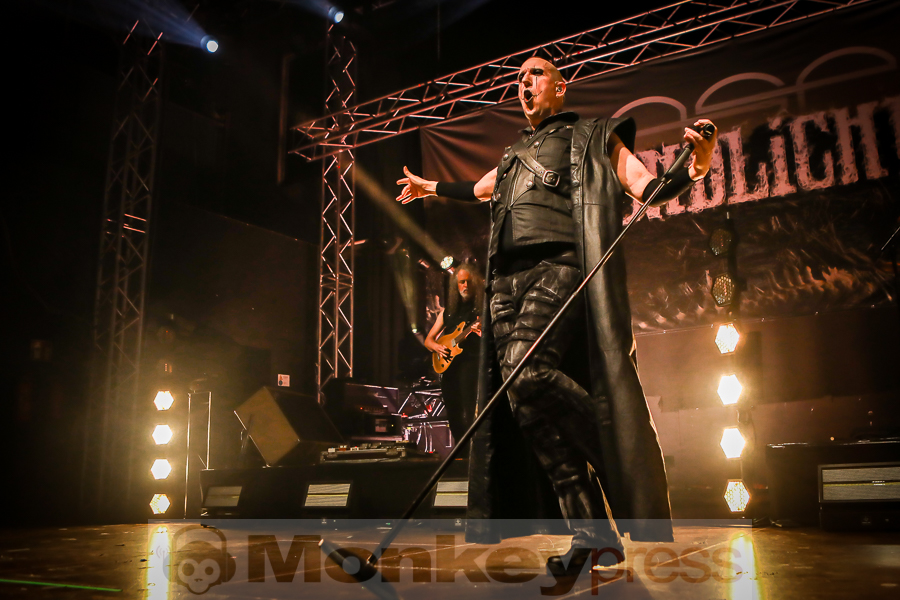 ASP, © Michael Gamon