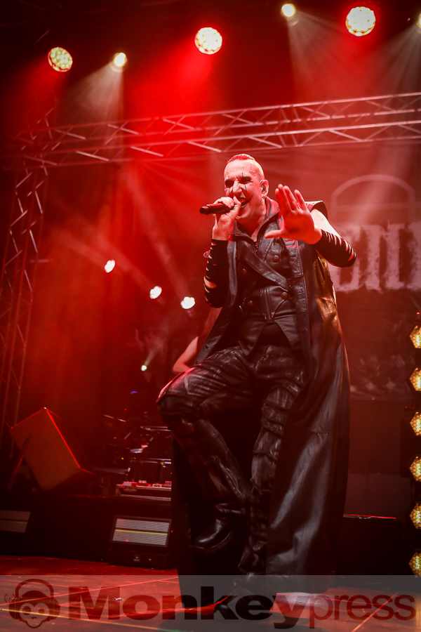 ASP, © Michael Gamon