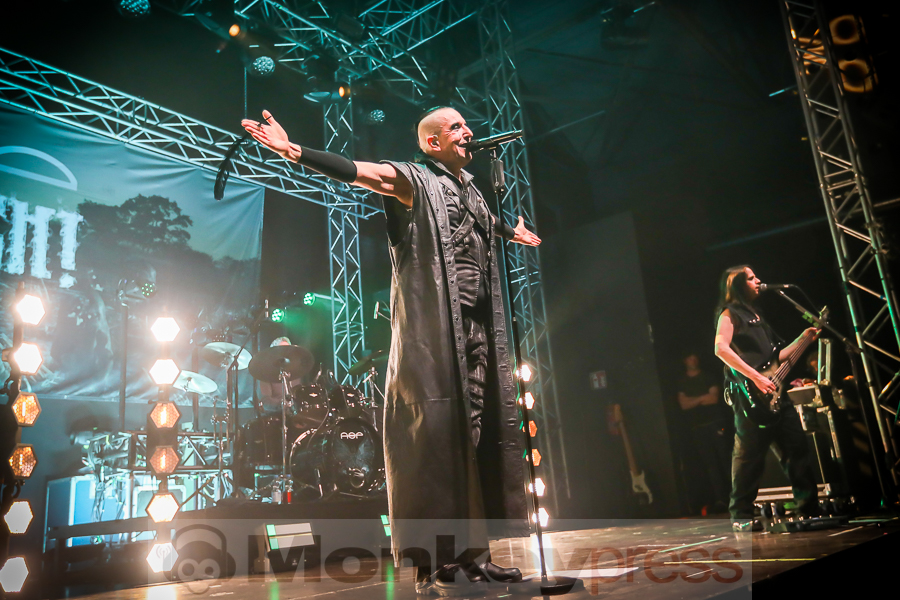 ASP, © Michael Gamon