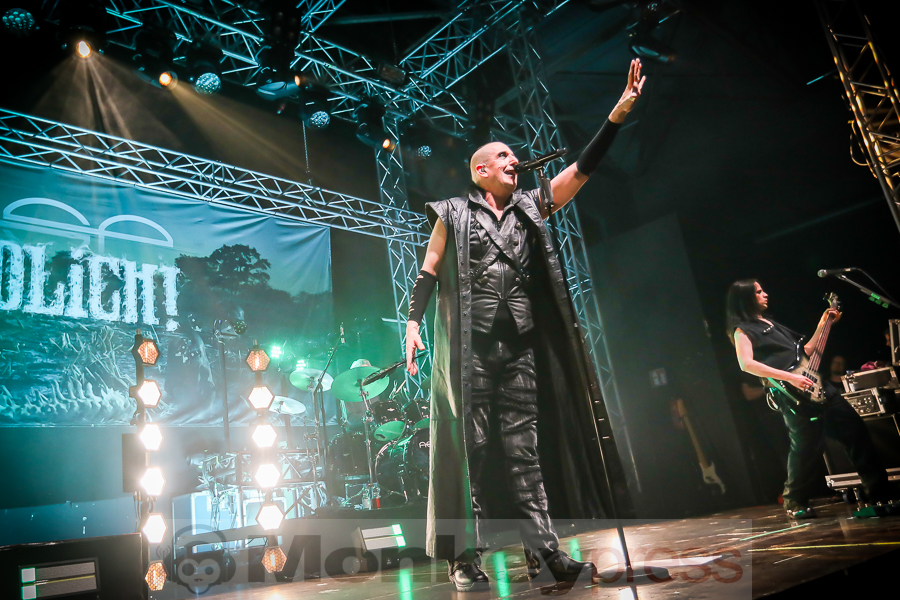 ASP, © Michael Gamon