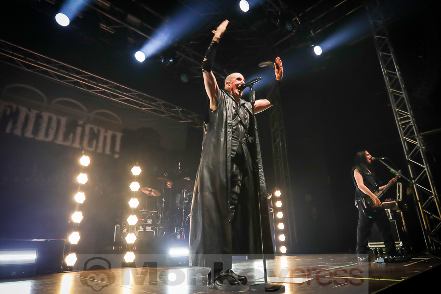 ASP, © Michael Gamon