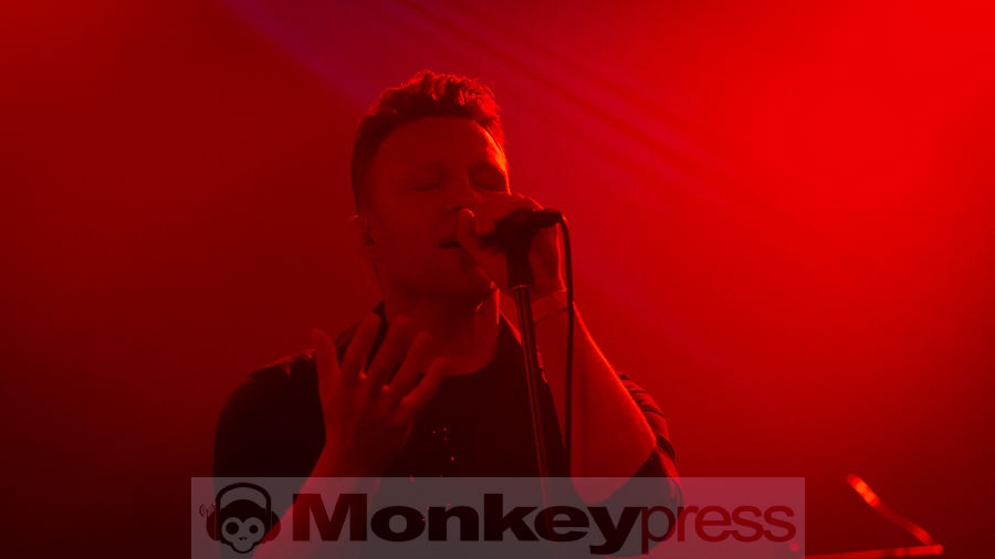 Gulvøss, © Schwarzpixel - Carsten Zerbe