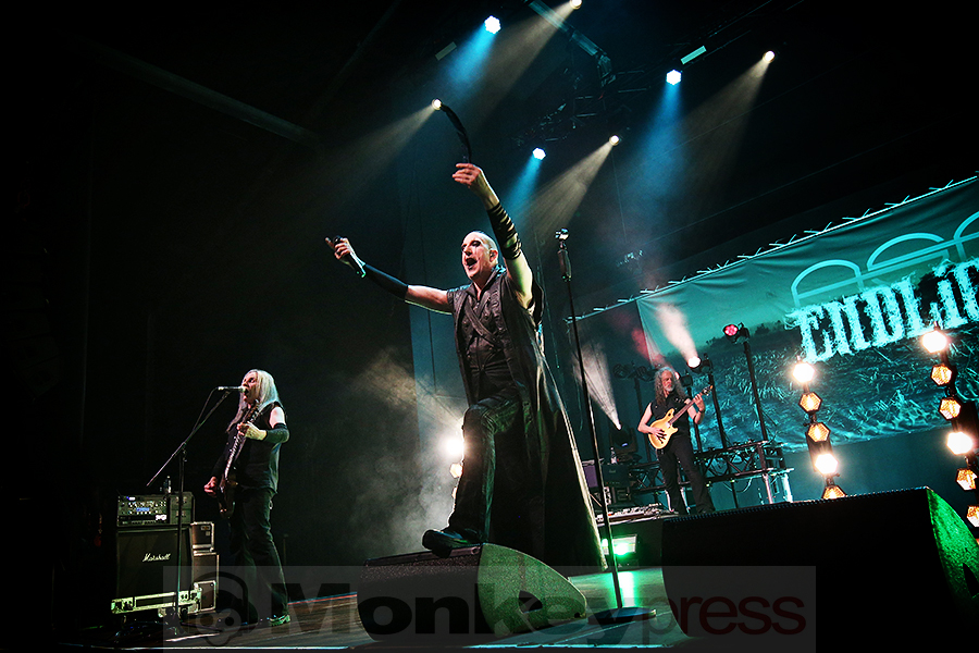 ASP © Sandro Griesbach