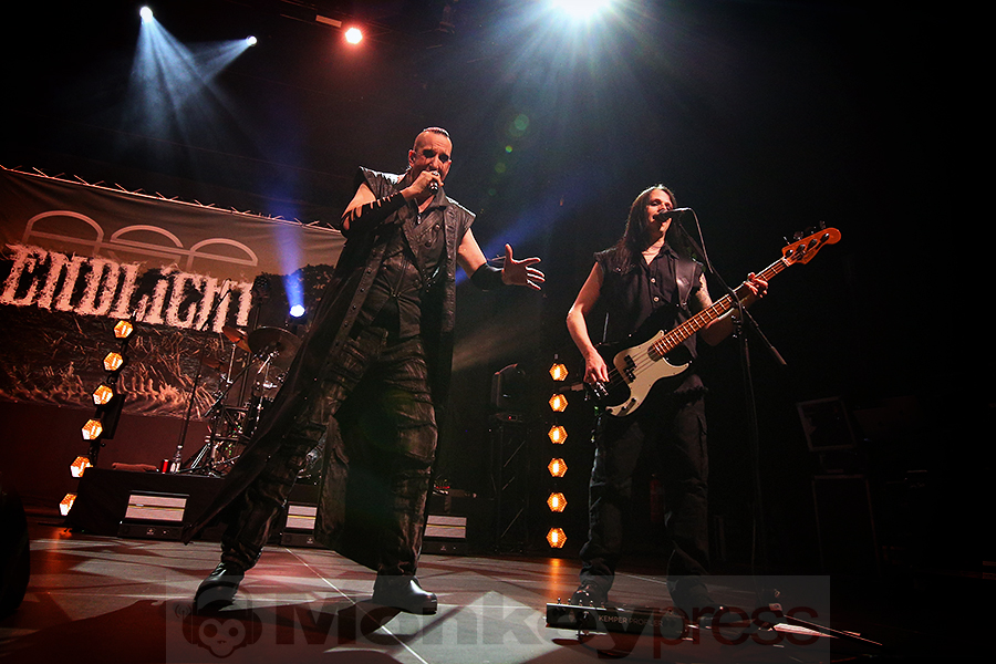 ASP © Sandro Griesbach