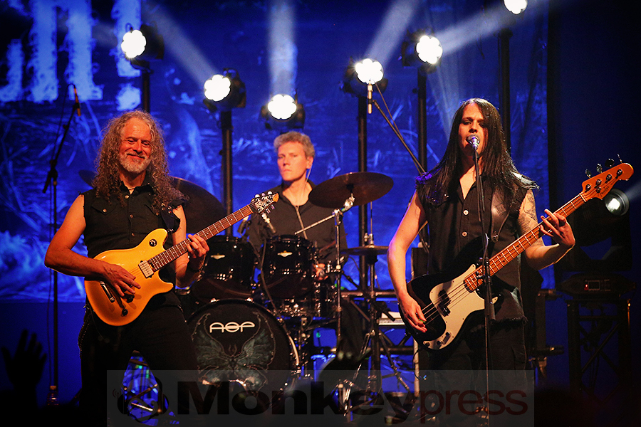 ASP © Sandro Griesbach