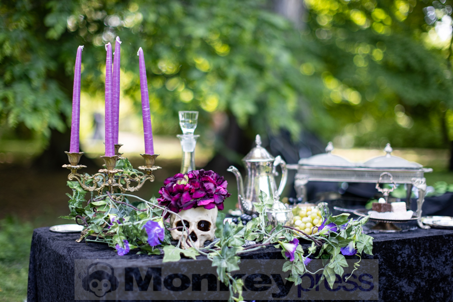 Viktorianisches Picknick, © Thomas Bunge Viktorianisches Picknick, © Thomas Bunge