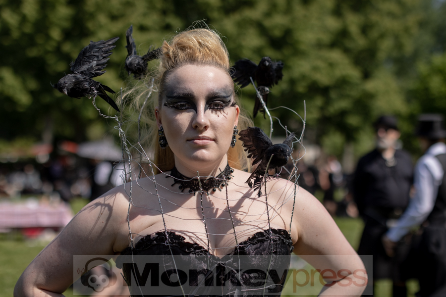 Steampunk-Picknick, © Thomas Bunge