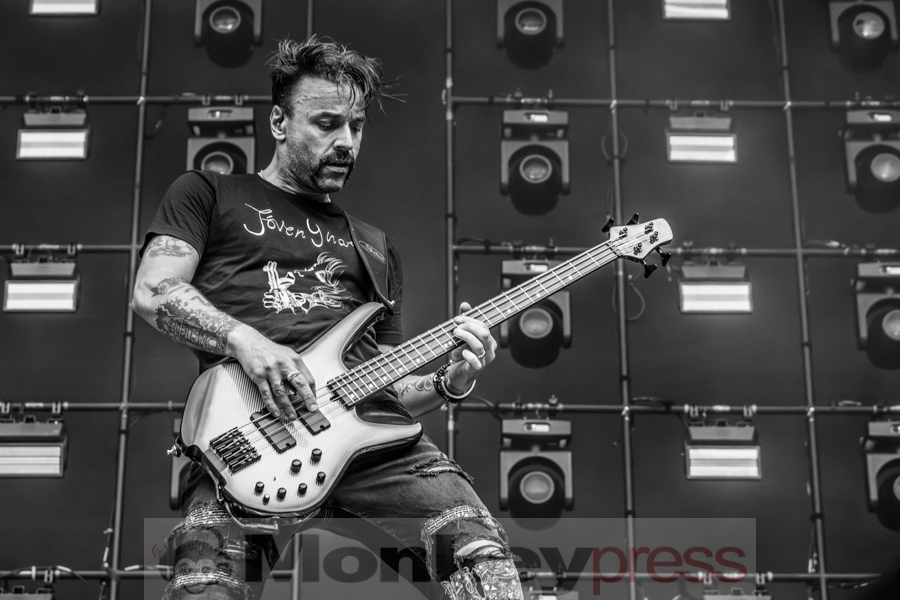 Muse, © Angela Trabert