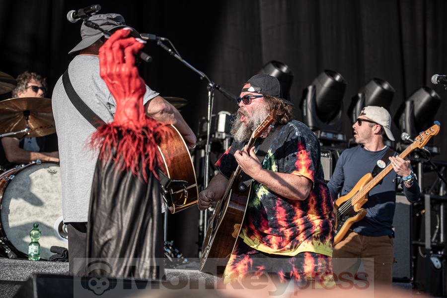 Tenacious D, © Mirco Wenzel