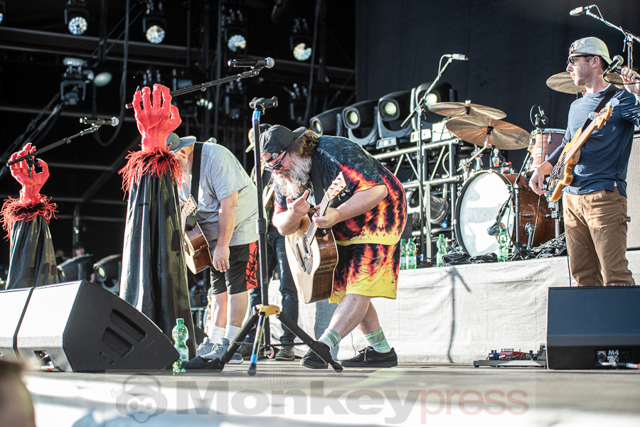 Tenacious D, © Mirco Wenzel