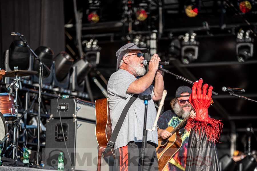 Tenacious D, © Mirco Wenzel