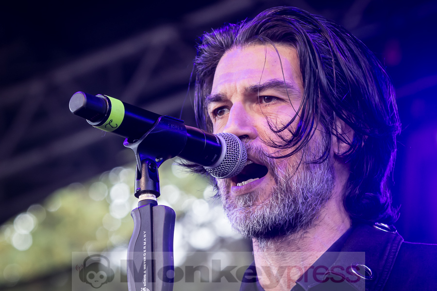 Schöngeist, © Peter Bernsmann