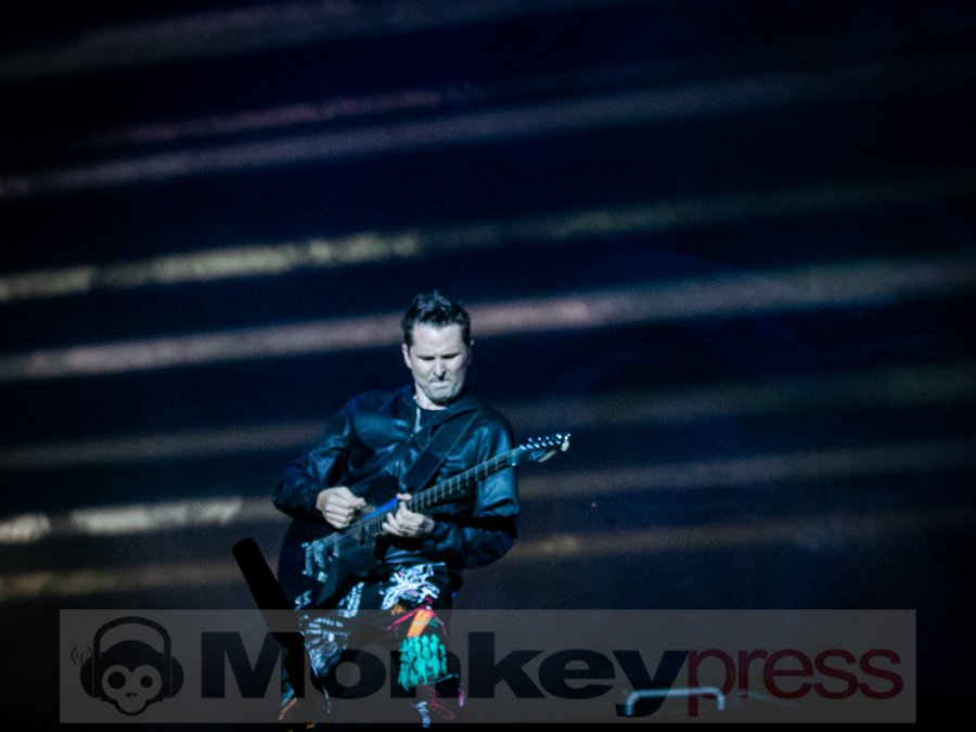 Muse © Alf Urbschat