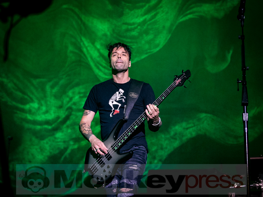 Muse © Alf Urbschat