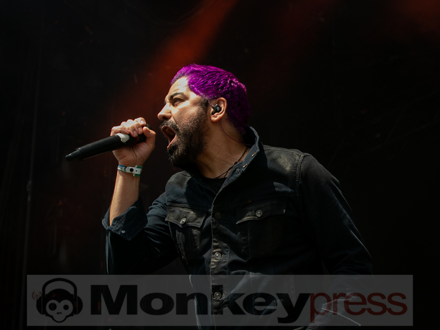 Zebrahead © Alf Urbschat