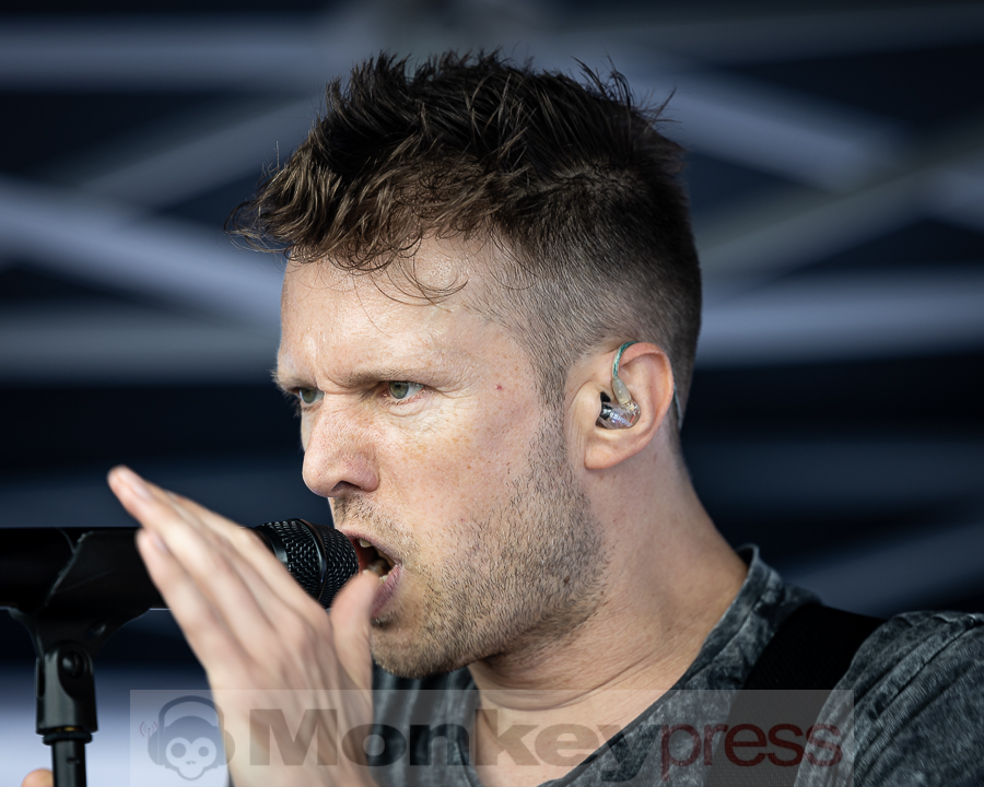 ZOODRAKE, © Schwarzpixel - Carsten Zerbe