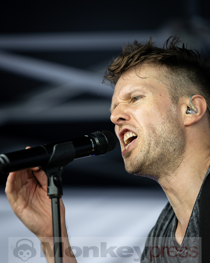 ZOODRAKE, © Schwarzpixel - Carsten Zerbe