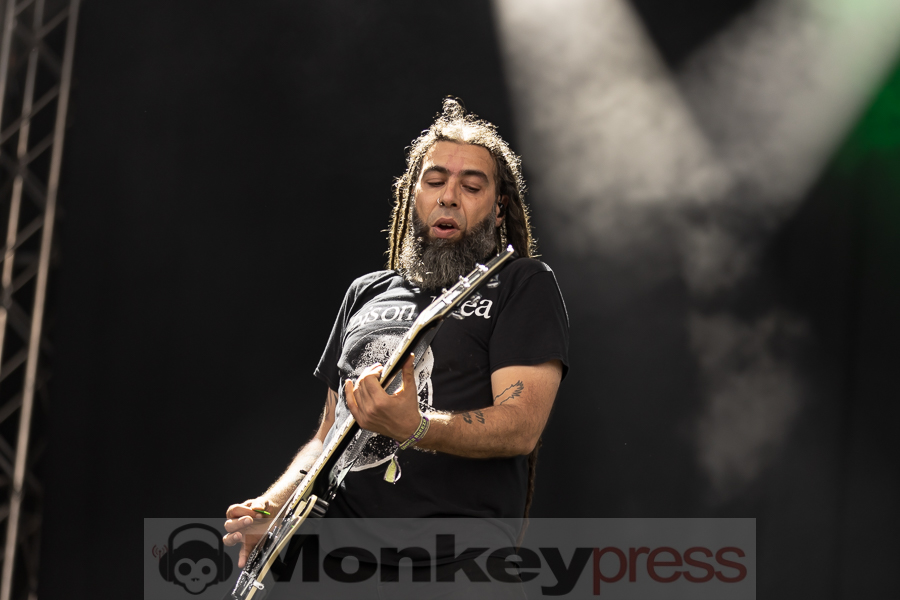 End Of Green© Birger Treimer