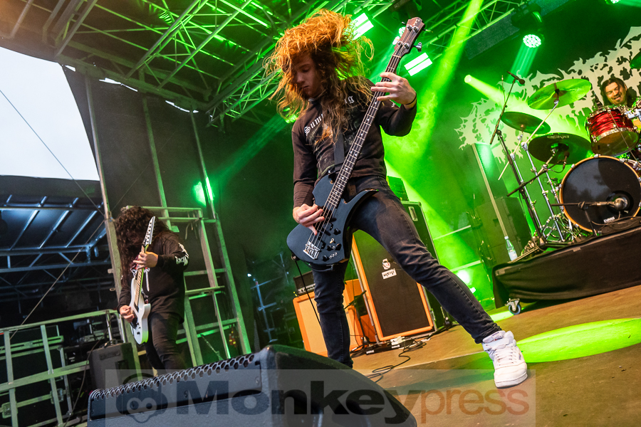 Gatecreeper, © Markus Hillgärtner
