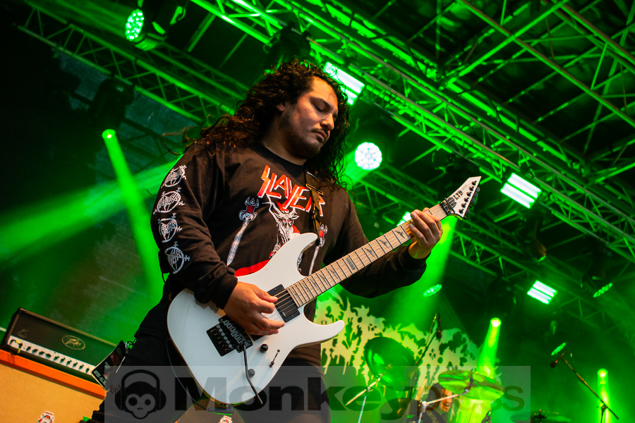 Gatecreeper, © Markus Hillgärtner