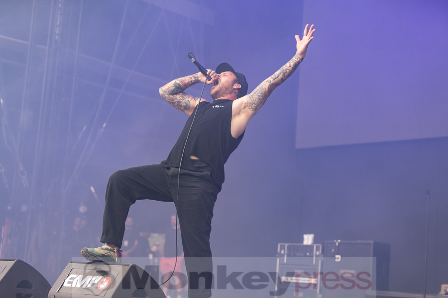 Stick To Your Guns © Birger Treimer