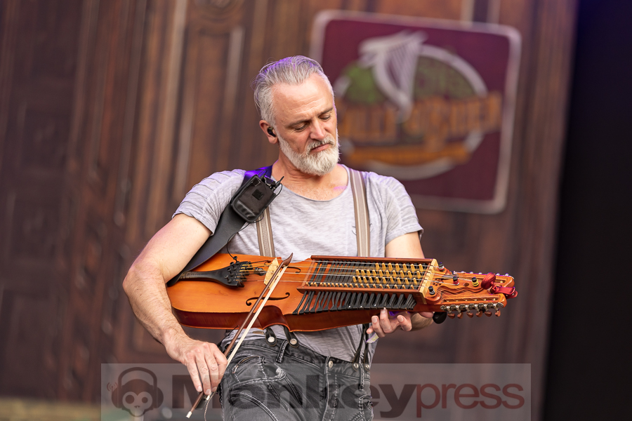 Versengold© Birger Treimer