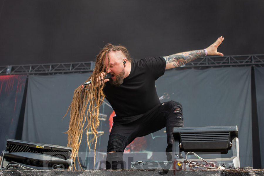 Decapitated, © Markus Hillgärtner