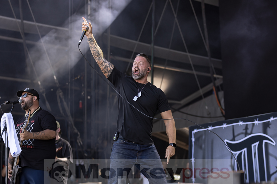 Lionheart © Birger Treimer