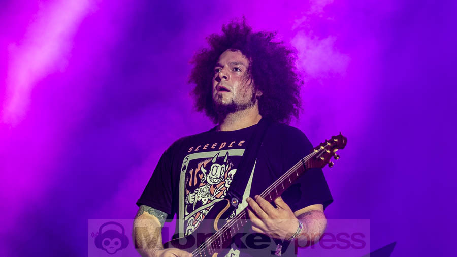 Frog Leap © Robert Helle