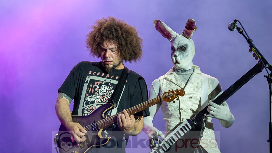 Frog Leap © Robert Helle