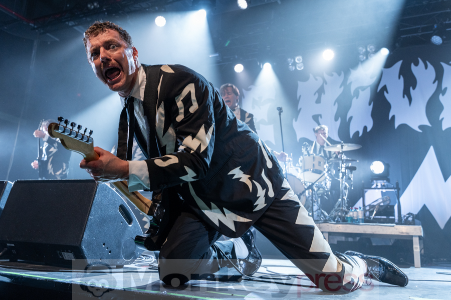 The Hives, © Angela Trabert