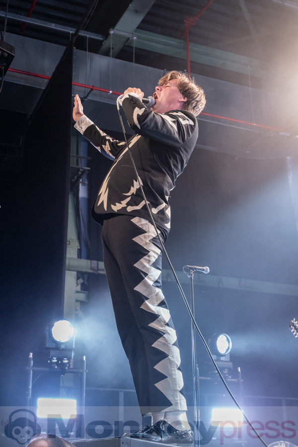 The Hives, © Angela Trabert