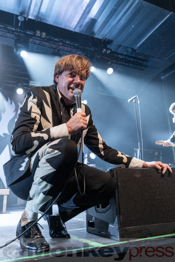 The Hives, © Angela Trabert