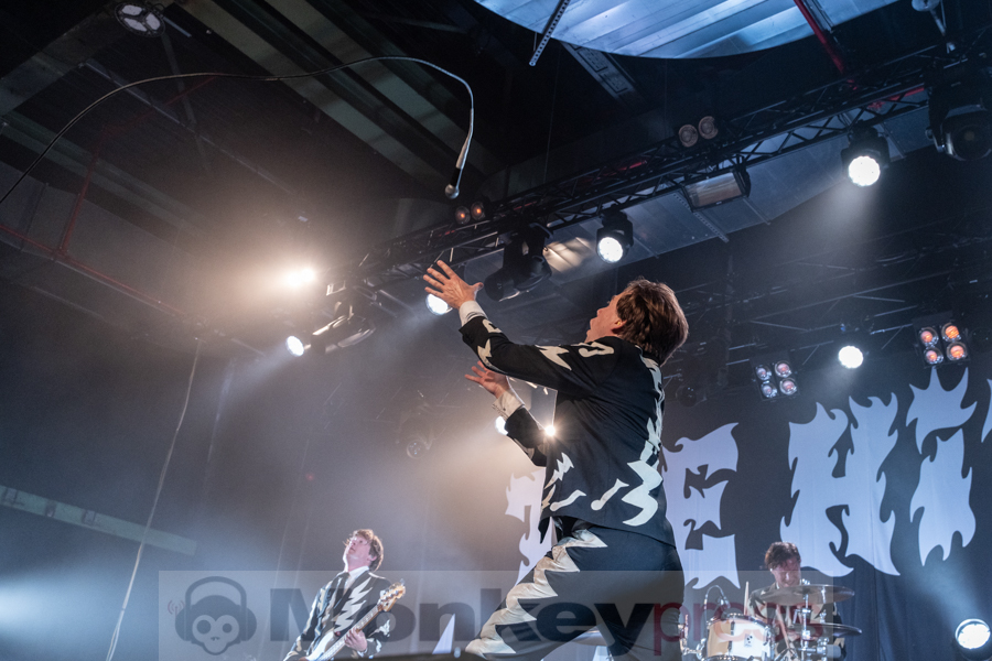 The Hives, © Angela Trabert