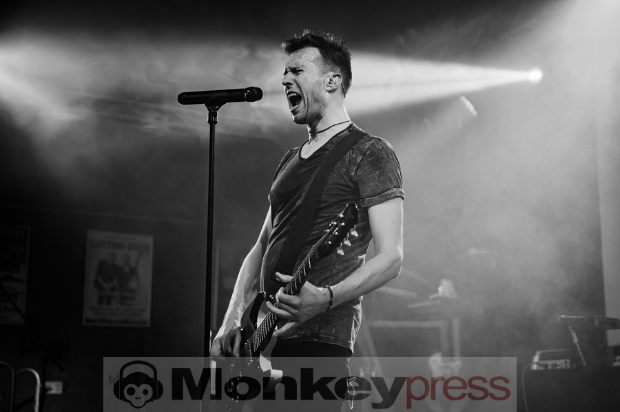 Zoodrake, © Kirsten Nagel