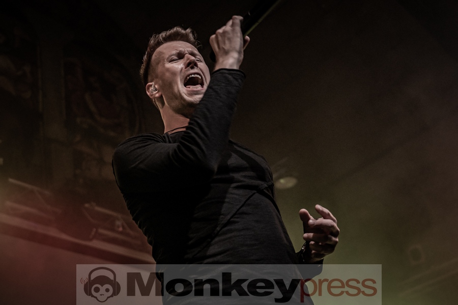 Zoodrake, © Kirsten Nagel